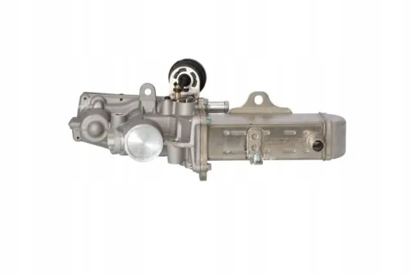 NRF 48208 Valve module egr 48208 nrf