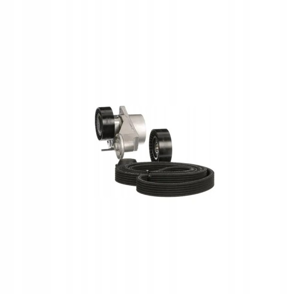 Gates K016DPK1838 Set of multi-groove v-belt k016dpk1838