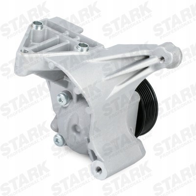 Stark SKHP-0540160 Power steering pump for stark skhp-0540160