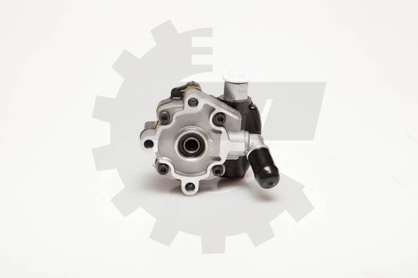 ESEN SKV 10SKV116 Jaguar x-type power steering pump ; 2.0d 2.2d motors ; 4x4q3a674ba