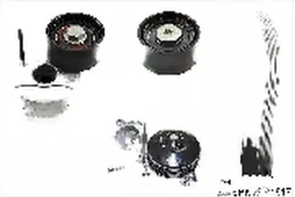 Schaeffler INA 529 0370 30 Water pump+ zest v-belt 6pk 529 0370 30