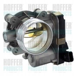 Hoffer  81818506_And air throttle