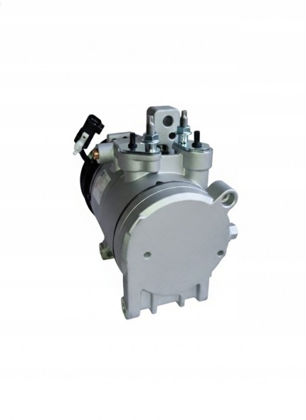 CHINA  Air conditioning compressor ford mustang r10-