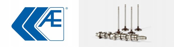 AE CAM999 Timing roller for citroen c1 c2 c3 nemo xsara ford fiesta fusion mazda 2