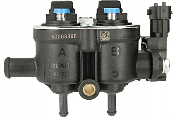 Landi Renzo GI25-65 Gas injector rail landi renzo med gi25-65 2 cylinders sky