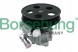 Borsehung  Borsehung b13214 hydraulic pump, steering