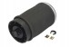 Arnott  Arnott a-2502 airbag, suspension suspension bellows tyl le