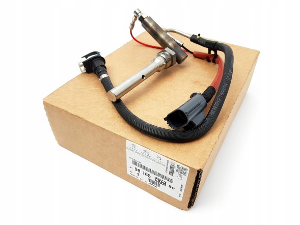 Citroen OE 9816547280 9676829580 Citroen oe 9816547280 9676829580 fap injector