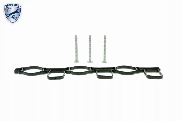 Vaico  Intake manifold+seal set audi-vwv10-3949 vemo