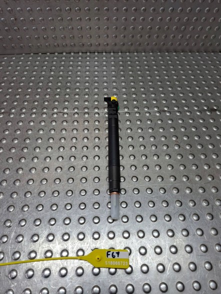 Lancia OE 9686191080 Lancia phedra ford citroen 2.0 hdi 07- 9686191080 embr00101d injector