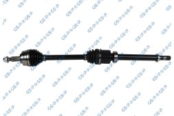 GSP 204276 Gsp polos pr