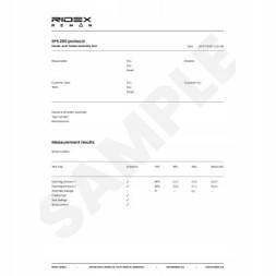 Ridex 3905I0059R Ridex 3905i0059r petrol injector