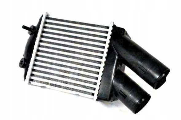Thermotec THEDAR001TT(iMOTO) Intercooler dacia logan logan mcv sandero renault + driver's essential #37