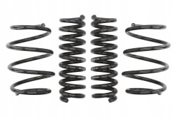 Eibach E10-20-031-01-22 Lowering spring eibach e10-20-031-01-22