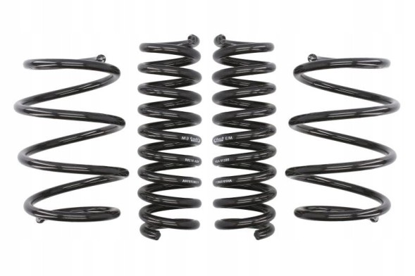 Eibach E10-20-031-01-22 Lowering spring eibach e10-20-031-01-22
