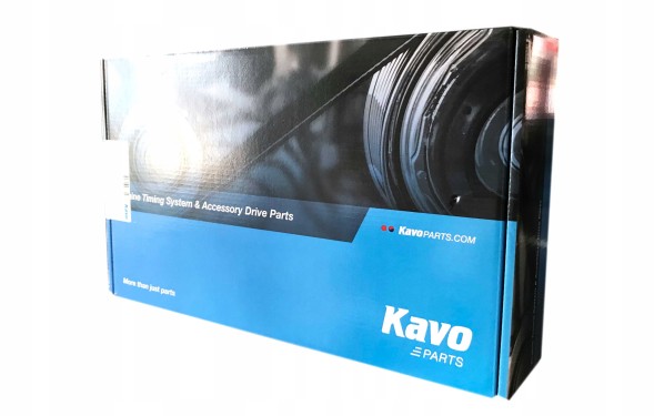 Kavo Parts  Set of cp-1148 kavo