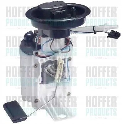 Hoffer 7506951 Fuel pump 7506951 hoffer rover 75