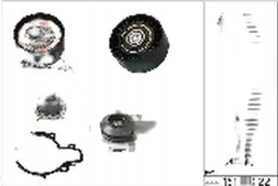 Schaeffler INA 530 0572 30 Timing kit + water pump 530 0572 30 ina