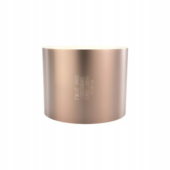 FMIC FP-CORE-008 Sports catalyst petrol euro 2 100 cpsi diameter 130mm length 100mm