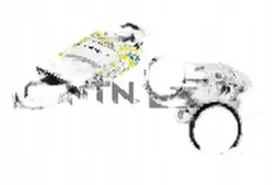 SNR KA850.00 Set of multi-groove v-belt ka850.00 snr