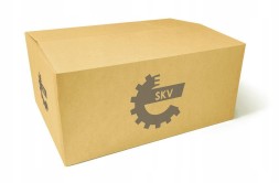 ESEN SKV 96SKV070 96Skv070/skv bmw 5 lamp module controller