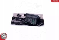 ESEN SKV 96SKV070 96Skv070/skv bmw 5 lamp module controller
