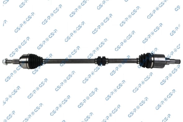 GSP 203647 Gsp polos pr