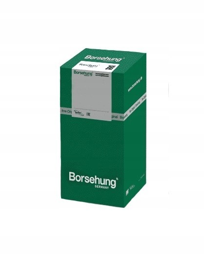 Borsehung 06H198205M Balancing roller borsehung b19132