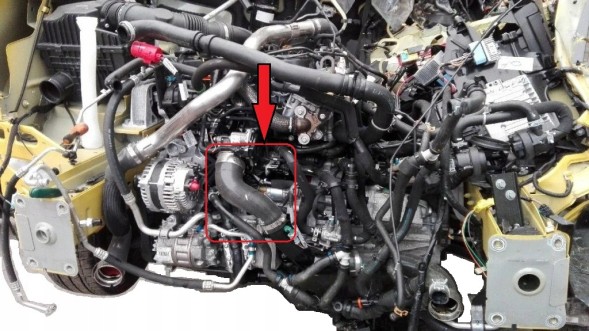 Pagum  Pipe hose for turbo air manifold nissan nv400 2.3 dci 1124090