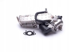 ESEN SKV 14SKV234 Egr valve with radiator bmw 11718517724