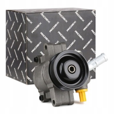 Ridex 12H0170 Power pump for ford fiesta mk6 hatchback rid