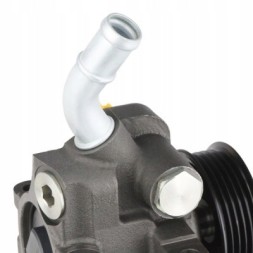 Ridex 12H0170 Power pump for ford fiesta mk6 hatchback rid