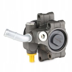 Ridex 12H0170 Power pump for ford fiesta mk6 hatchback rid