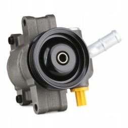 Ridex 12H0170 Power pump for ford fiesta mk6 hatchback rid