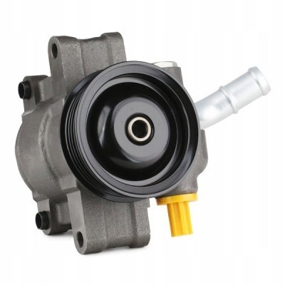 Ridex 12H0170 Power pump for ford fiesta mk6 hatchback rid