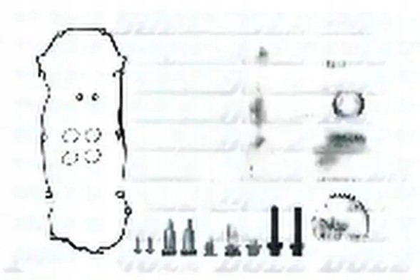 Dolz SKCB002V Timing chain kit skcb002v dolz