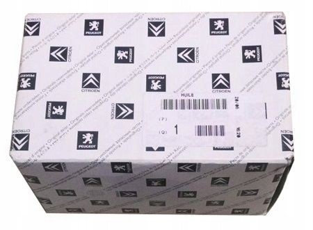 OEM 6438K3 Oe dog headlight washer nozzle set of 2pcs) citroen c8 02-