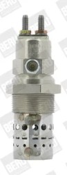 BorgWarner  Glow plug gf529 borgwarner (beru)