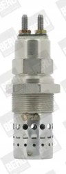 BorgWarner  Glow plug gf529 borgwarner (beru)