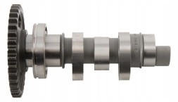 Facar 811043 Hot cams camshaft honda crf 250r (04-09)