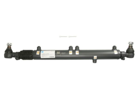 Reinhoch  Steering shock absorber with mercedes man tgs and tgx i tips