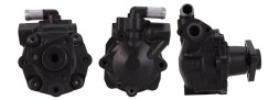 DRI R1350031_i power steering pump
