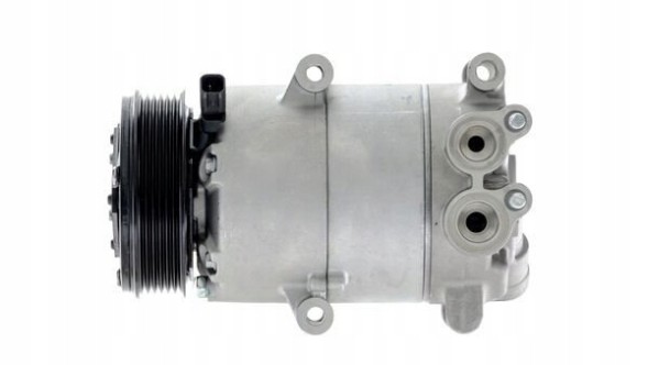 Mahle ACP 310 000S Air conditioning compressor - mahle acp 310 000s