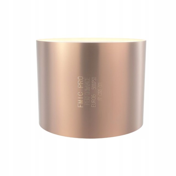 FMIC FP-CORE-001 Sports catalyst petrol euro 6 500 cpsi diameter 130mm length 100mm