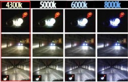 ZR  Bulbs pair hid xenon d5s warm white light 4300k 12v can-bus xenon