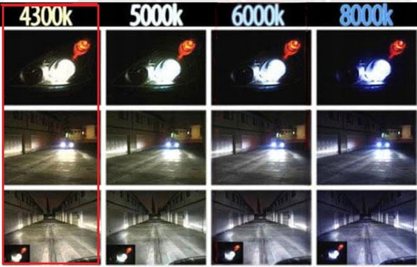 ZR  Bulbs pair hid xenon d5s warm white light 4300k 12v can-bus xenon