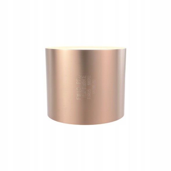 FMIC FP-CORE-012 Sports catalyst petrol euro 5 500 cpsi diameter 120mm length 100mm