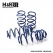 H&amp;R  H&amp;r lowering spring set renault megane grandtour,cabrio,sce 29528-2