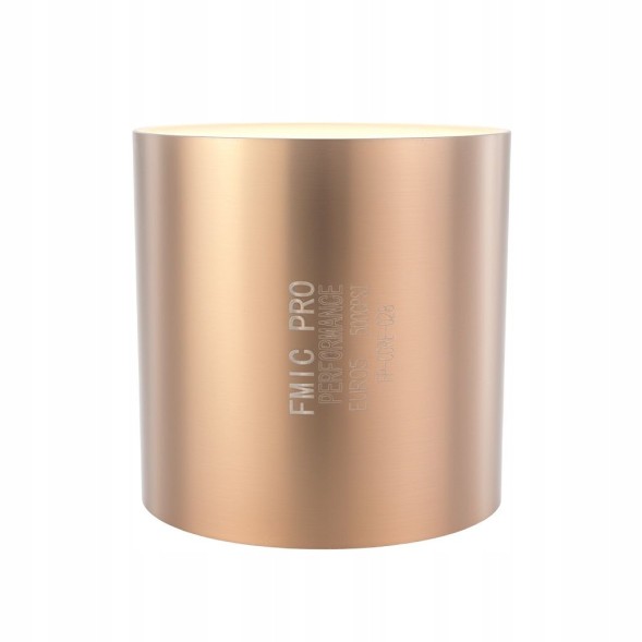 FMIC FP-CORE-028 Sports catalyst petrol euro 5 500 cpsi diameter 100mm length 100mm