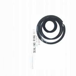 CHINA  Repair kit zf 6hp26 / 6hp28 - bmw / jaguar